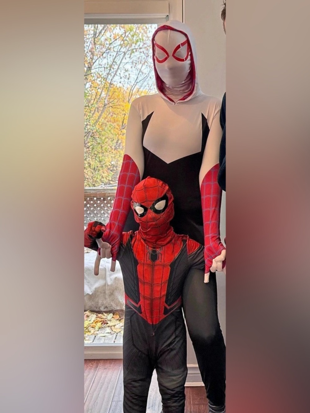 Ghost spider Spider-Man Superhero Costume